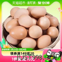 88VIP：九華粮品 散养土鸡蛋 50枚 1.9kg