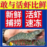 百亿补贴：XYXT 虾有虾途 渤海大虾 17-19厘米 4斤