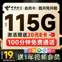 超值月租：CHINA TELECOM 中国电信 会员卡 首年19月租（12个月视频会员+115G全国流量+100分钟全国通话）激活送20元E卡
