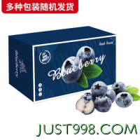 Mr.Seafood 京鲜生 云南蓝莓 巨无霸22mm+ 4盒礼盒装 约125g/盒 新鲜水果礼盒