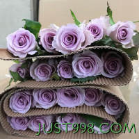 C级海洋之歌紫色玫瑰鲜花真花水养家用 默认颜色8