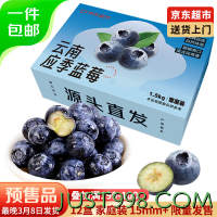 京鲜生 云南蓝莓 12盒 约125g/盒 15mm+