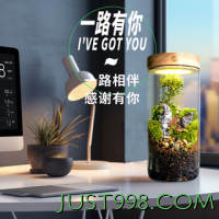 丘辰 青苔藓微景观生态瓶办公室内桌面绿植造景观植物盆栽摆件 一路有你