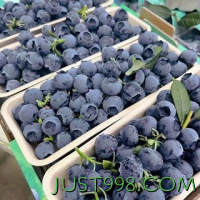 柚萝 超大果 新鲜蓝莓 125g*6盒 果径18-22mm