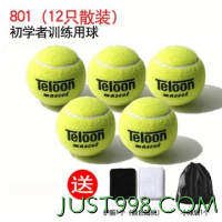 Teloon 天龙 网球训练球603rising801初学专业比赛高回弹力袋装耐磨