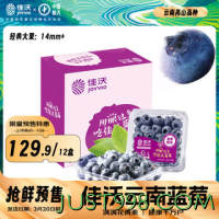 JOYVIO 佳沃 云南当季蓝莓14mm+ 12盒原箱 约125g/盒 生鲜水果