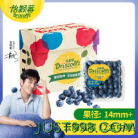 怡颗莓 Driscoll’s 云南蓝莓 原箱12盒礼盒装 125g/盒 新鲜水果礼盒