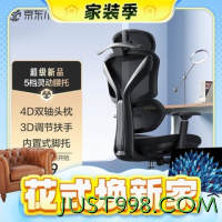 京东京造 Z7 Pro人体工学椅