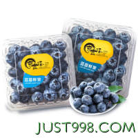 京世泽 国产高山蓝莓 时令蓝莓水果 8盒装125g/盒 15-17mm【大果】