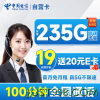 CHINA TELECOM 中国电信 自营卡 首年19月租（235G全国流量+100分钟通话）激活送20元E卡