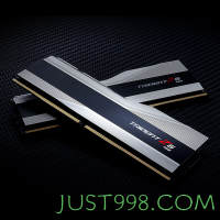 G.SKILL 芝奇 幻锋戟 DDR5 6400MHz RGB 台式机内存 灯条 科技银 32GB 16GBx2 F5-6400J3239G16GX2-TZ5RS