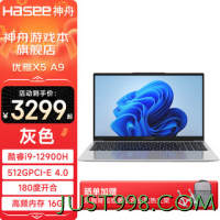 Hasee 神舟 优雅X5 A9 i9-12900H 笔记本电脑 16G/512G/45%色域/灰色