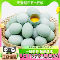 88VIP：晨诚 绿壳土鸡蛋45g*30枚乌鸡蛋