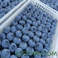 言果纪 特大果 蓝莓 125g*6盒 果径18-22mm