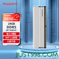 Asgard 阿斯加特 24GB DDR5 5600 台式机内存条 海拉系列