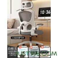 达利娜 人体工学办公椅 自适应腰靠 4D头枕 三级气杆+悬浮腰靠+加厚坐垫（白框灰网）