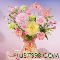 REFLOWER 花点时间 康乃馨母亲节鲜花花束 赠丝巾+纸花瓶 5月9日-12日期间收花