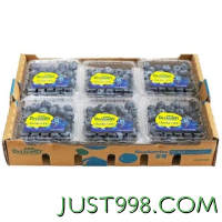 橙央 蓝莓 125g*6 盒 单果12-14mm